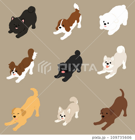 遊びに誘うシンプルで可愛い犬の手描きのイラストセットC 主線なし 遊びに誘うシンプルで可愛い犬の手描きのイラストセットC 主線なし 109735606