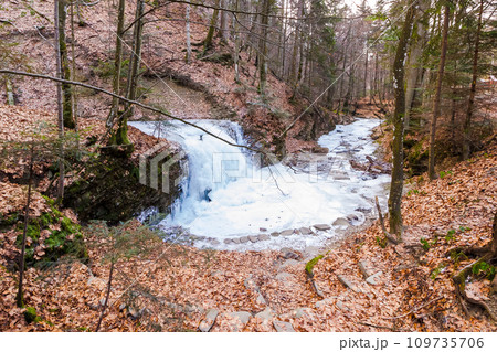 nature landscape with ice frozen waterfall in the forest. leafless trees on the hill covered with fallen foliage in winter 109735706