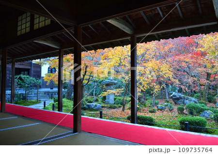 錦秋の京都市洛北 圓光寺の紅葉庭園 109735764