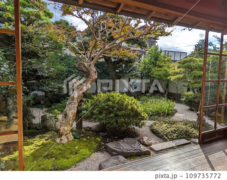 島根県小泉八雲旧居の庭 109735772