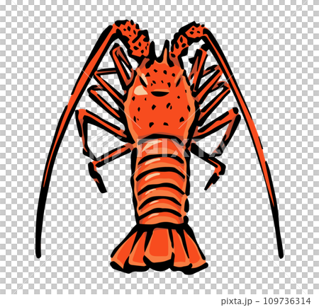 伊勢海老の手書きイラストのイラスト素材 [109736314] - PIXTA