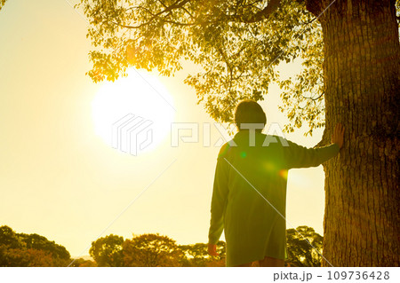 大樹に手を添え思いを馳せるシニアの女性　新緑公園　健康習慣　散歩　明日を考える　終活　見上げる　夕 109736428