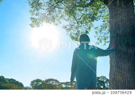 大樹に手を添え思いを馳せるシニアの女性 新緑公園 健康習慣 散歩 明日を考える 終活 見上げる 朝 大樹に手を添え思いを馳せるシニアの女性 新緑公園 健康習慣 散歩 明日を考える 終活 見上げる 朝 109736429