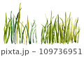 Watercolor hand drawn green grass 109736951