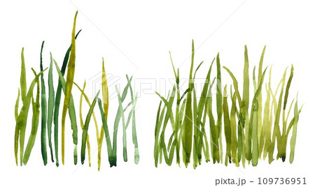 Watercolor hand drawn green grass 109736951