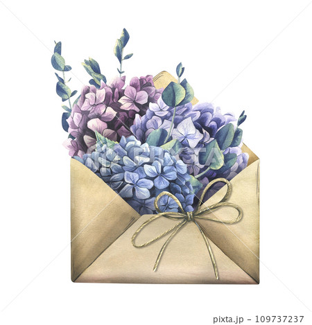 Pink, blue, lilac hydrangea flowers, eucalyptus branches in a craft brown envelope with a jute bow. Hand drawn watercolor illustration. Isolated composition on a white background. 109737237