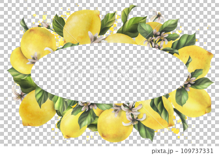 Lemons are yellow, juicy, ripe with green leaves, flower buds on the branches, whole and slices. Watercolor, hand drawn botanical illustration. Frame, template on a white background. 109737331