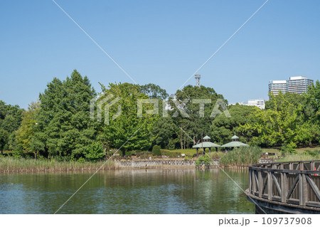 真夏の柏の葉公園 109737908