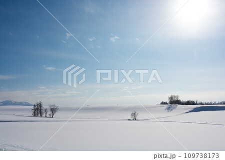 雪の丘と青空 雪の丘と青空 109738173