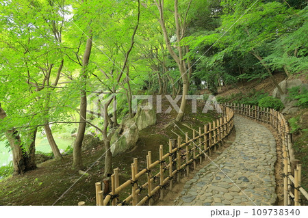 残暑の栗林公園(9月上旬) 残暑の栗林公園(9月上旬) 109738340