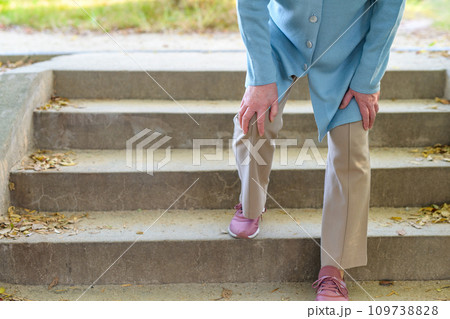 階段で膝に痛みを感じるシニアの女性　高齢者　膝の痛み　膝痛　心配　ふらつき　階段上り下り 109738828