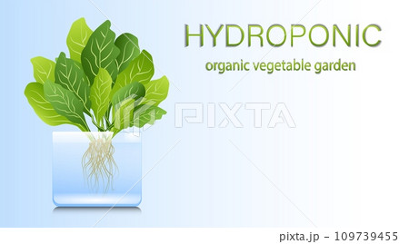 Portable hydroponic aeroponic system for eco-friendly growing of green lettuce, vegetables and herbs. organic vegetable garden 109739455