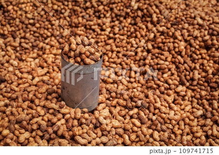 Fried peanuts sold in Indian street 109741715