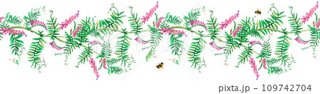 Mouse peas flowers bee watercolor seamless border floral illustration. Purple branch isolated on white background. Meadow wildflower botanical natural hand drawn. Lavender bloom realistic aquarelle  109742704