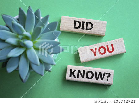 Did you know symbol. Wooden blocks with words Did you know. Beautiful green background with succulent plant. Business and Did you know concept. Copy space. Did you know symbol. Wooden blocks with words Did you know. Beautiful green background with succulent plant. Business and Did you know concept. Copy space. 109742721