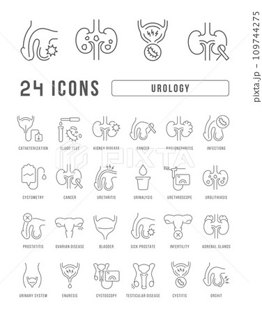 Set of linear icons of Urology Set of linear icons of Urology 109744275