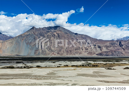 Nubra valley in Himalayas. Ladakh, India 109744509