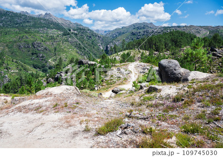 Landscapes of Peneda Geres National Park, North Portugal, view of the mountains, trees, selective focus 109745030