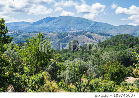 Landscapes of Peneda Geres National Park, North Portugal, view of the mountains, trees, selective focus 109745037