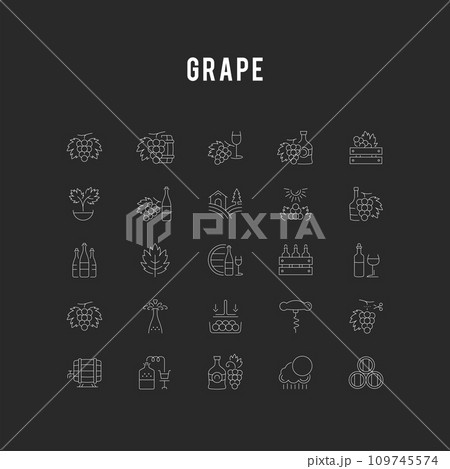 Set Vector Flat Line Icons Grape 109745574