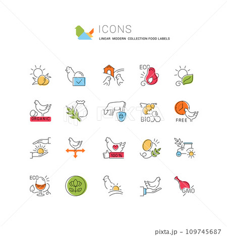 Set Vector Line Icons of Food Labels. 109745687