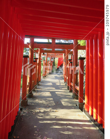 太皷谷稲成神社の千本鳥居 109745979