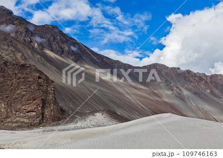 Sand dunes. Nubra valley, Ladakh, India 109746163