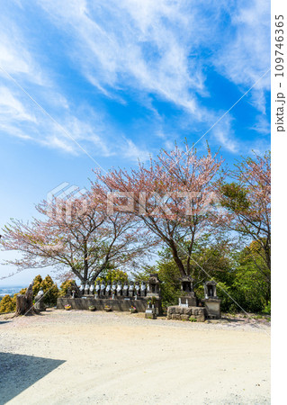 春空とお地蔵さんの桜の木 展望台 香り高き絶景スポット 見渡す限り緑のじゅうたん /八女中央大茶園| 春空とお地蔵さんの桜の木 展望台 香り高き絶景スポット 見渡す限り緑のじゅうたん /八女中央大茶園| 109746365