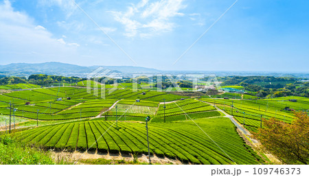 春空と絶景展望台から観える風景　見渡す限り緑のじゅうたん　香り高き絶景スポット／八女中央大茶園｜ 109746373