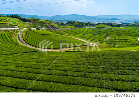 春空と絶景展望台から観える風景 見渡す限り緑のじゅうたん 香り高き絶景スポット/八女中央大茶園| 春空と絶景展望台から観える風景 見渡す限り緑のじゅうたん 香り高き絶景スポット/八女中央大茶園| 109746378