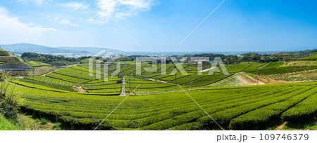 春空と絶景展望台から観える風景　見渡す限り緑のじゅうたん　香り高き絶景スポット／八女中央大茶園｜ 109746379