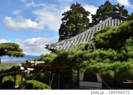 善峯寺 遊龍の松【天然記念物】 善峯寺 遊龍の松【天然記念物】 109746572