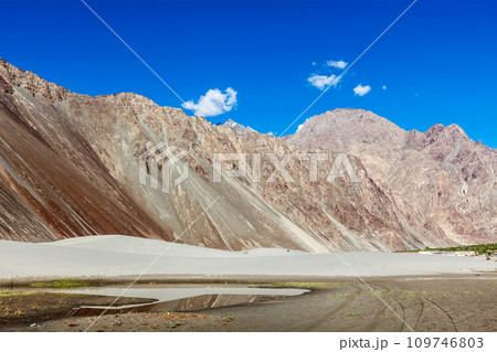 Sand dunes. Nubra valley, Ladakh, India Sand dunes. Nubra valley, Ladakh, India 109746803
