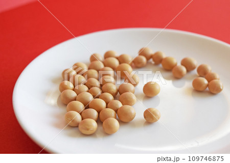 乾燥大豆 109746875
