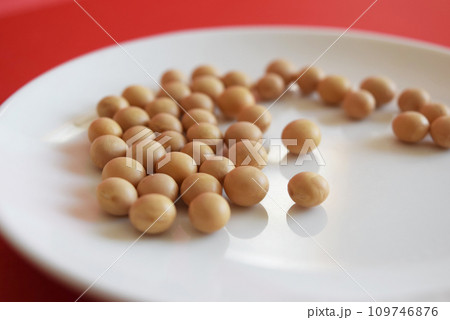 乾燥大豆 乾燥大豆 109746876