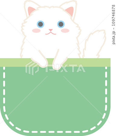 ポケットに入った猫__白猫長毛種_青色のポケット ポケットに入った猫__白猫長毛種_青色のポケット 109746878