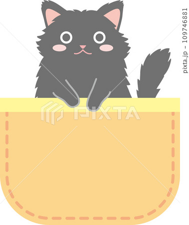 ポケットに入った猫_黒猫長毛種_黄色のポケット 109746881