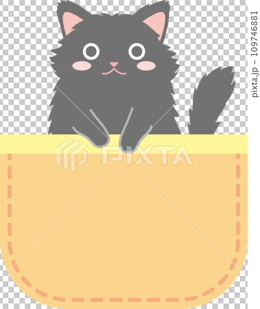 ポケットに入った猫_黒猫長毛種_黄色のポケット 109746881