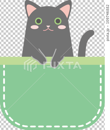 ポケットに入った猫_黒猫_緑色のポケットのイラスト素材 [109746882