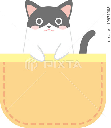 ポケットに入った猫_ハチワレ白黒_黄色のポケット 109746884