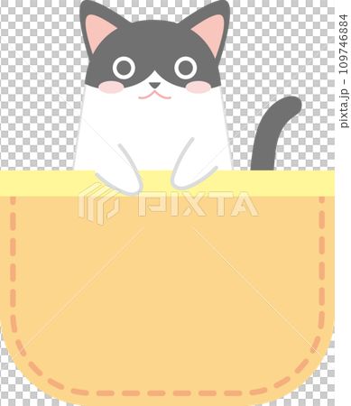 ポケットに入った猫_ハチワレ白黒_黄色のポケット 109746884