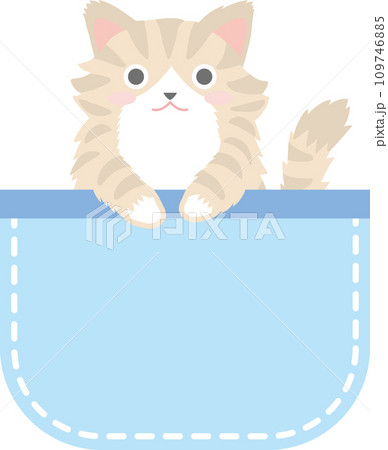 ポケットに入った猫_ノルウェージャンフォレストキャット_青色のポケット 109746885