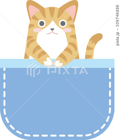 ポケットに入った猫_チャトラ白_青色のポケット 109746886