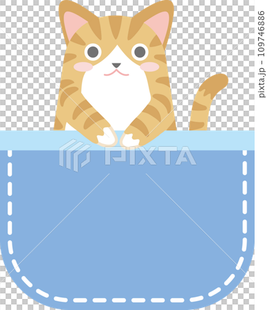 ポケットに入った猫_チャトラ白_青色のポケット 109746886