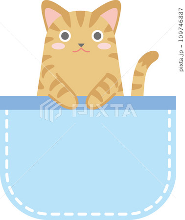 ポケットに入った猫_チャトラ猫_青色のポケット ポケットに入った猫_チャトラ猫_青色のポケット 109746887