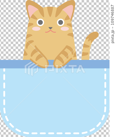 ポケットに入った猫_チャトラ猫_青色のポケット ポケットに入った猫_チャトラ猫_青色のポケット 109746887