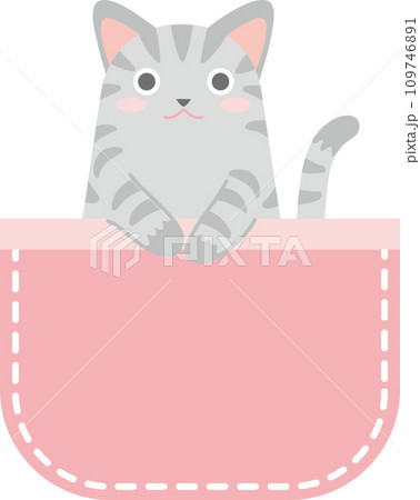 ポケットに入った猫_サバ猫_ピンク色のポケット ポケットに入った猫_サバ猫_ピンク色のポケット 109746891