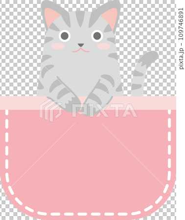 ポケットに入った猫_サバ猫_ピンク色のポケット ポケットに入った猫_サバ猫_ピンク色のポケット 109746891