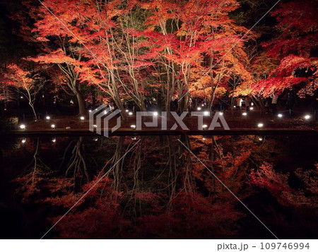 岐阜県土岐市 逆さ紅葉 ライトアップされた紅葉 岐阜県土岐市 逆さ紅葉 ライトアップされた紅葉 109746994