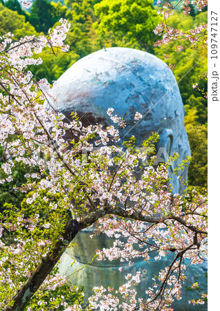 桜の木に映える日本一大きいおびんずる様の像 日輪寺(山鹿市) 桜の木に映える日本一大きいおびんずる様の像 日輪寺(山鹿市) 109747127
